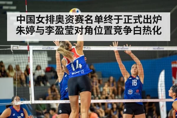 volleyball match action